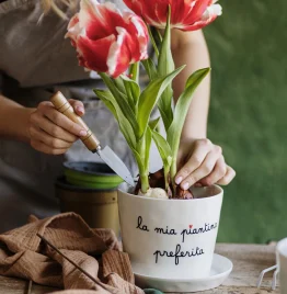 VASO LA MIA PIANTINA PREFERITA, CON SOTTOVASO